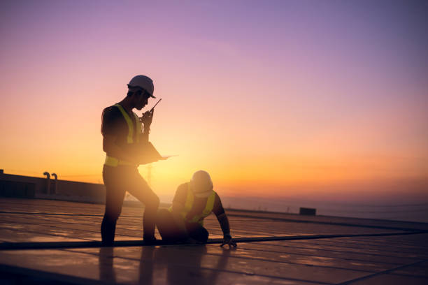 Best Flat Roof Repair Services  in Dewitt, IA