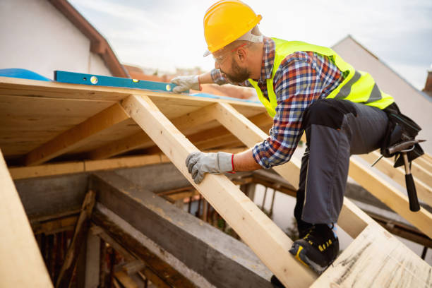 Best Storm Damage Roof Repair  in Dewitt, IA